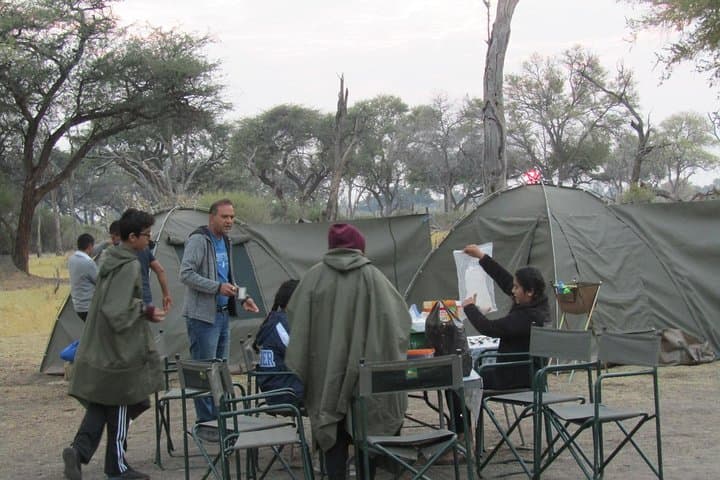 Chobe to Savute 4-Day Safari: Elephants, Lions & Bush Camping