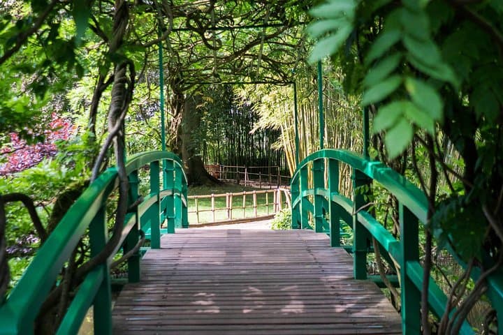 Giverny Half-Day Trip to Monet's Gardens from Paris