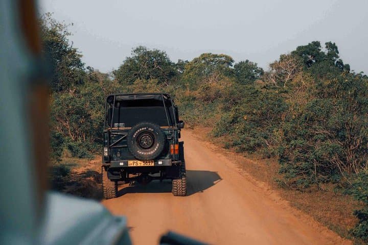 3-Day Yala Honeymoon Glamping & Leopard Safari at Leopard Nest photo 5