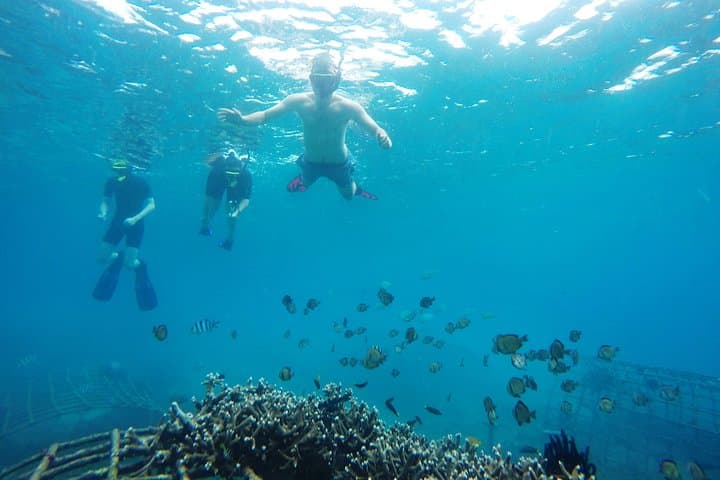 Padang Bai Blue Lagoon Snorkeling Day Trip photo 2