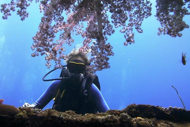 Tulamben USS Liberty Scuba Diving: Shore Dives for Certified Divers photo 2