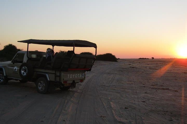 Chobe to Savute 4-Day Safari: Elephants, Lions & Bush Camping photo 3