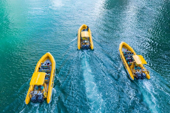 Abu Dhabi Sightseeing Boat Tours: Yas, Corniche & Al Maya Island by RIB photo 4