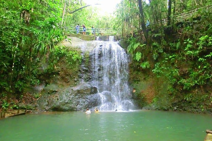 Customized Suva Day Tour: Market, Museum & Waterfall Highlights photo 3