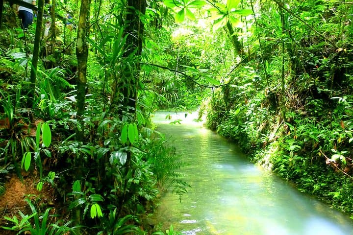 Customized Suva Day Tour: Market, Museum & Waterfall Highlights photo 4