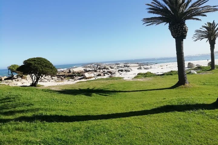 Cape Peninsula Day Tour: Chapman’s Peak, Cape Point & Boulders Beach Penguins photo 2