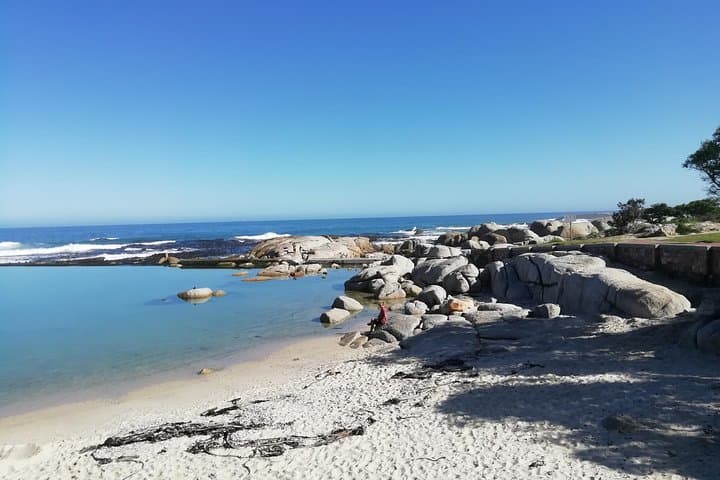 Cape Peninsula Day Tour: Chapman’s Peak, Cape Point & Boulders Beach Penguins photo 3