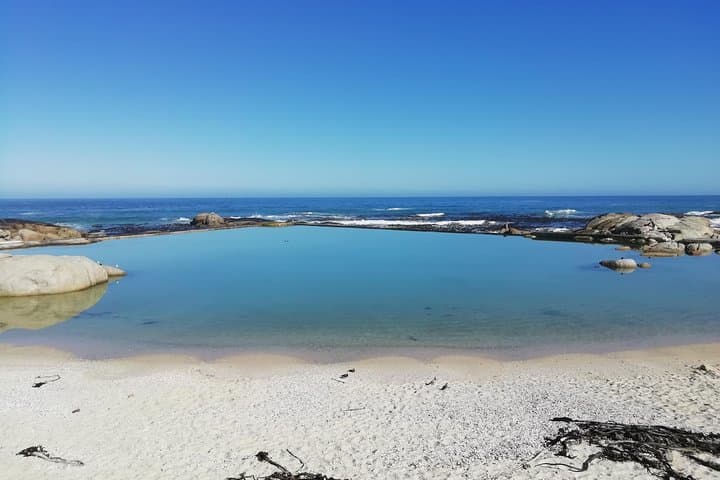 Cape Peninsula Day Tour: Chapman’s Peak, Cape Point & Boulders Beach Penguins photo 4