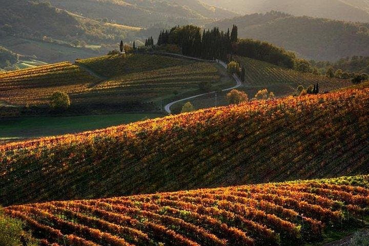 Guided Hiking in Tuscany: Private Day Trek from Siena to San Gimignano photo 5