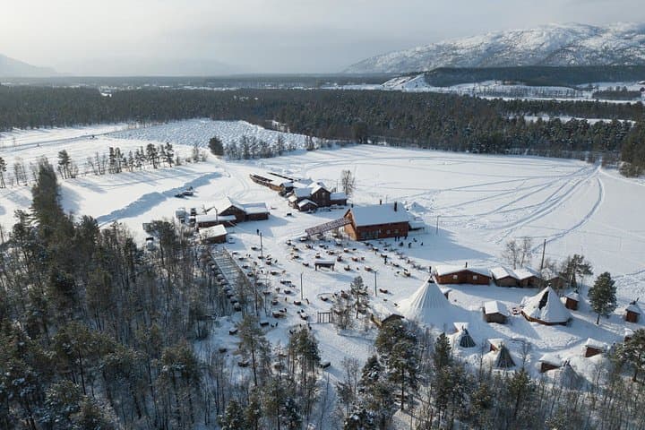 Alta Dog Sled Tour & Husky Cuddles: Arctic Dogsledding on the Finnmark Plateau photo 2