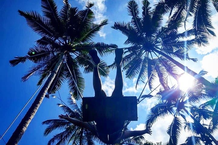 Ubud Private Tour: Full-Day Ubud Highlights — Monkey Forest, Rice Terraces & Waterfall photo 4