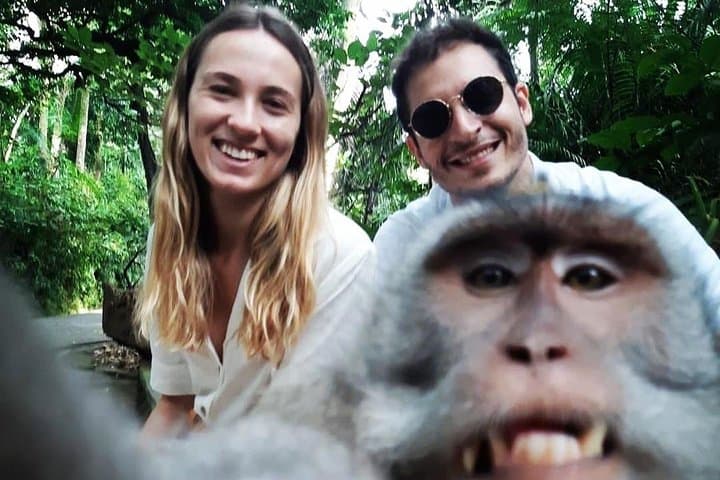 Ubud Private Tour: Full-Day Ubud Highlights — Monkey Forest, Rice Terraces & Waterfall photo 5