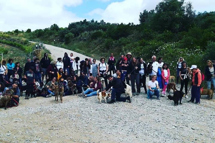 Hidden Trails of Sintra: Guided Hike to Secret Viewpoints photo 6