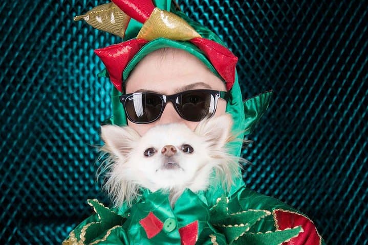 Piff the Magic Dragon at the Flamingo: Las Vegas Magic & Comedy Show Guide photo 6