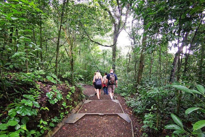 Hike Rincón de la Vieja: Las Pailas Loop, La Oropendola Waterfall & Hot Springs (Private Tour) photo 1