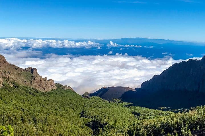 Private Teide & North Tenerife Tasting Tour — Volcano Views and 5‑Course Local Cuisine photo 3