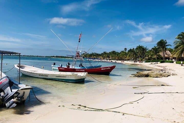 Snorkel with Turtles in Akumal: Private Snorkeling & Cenote Swim photo 2