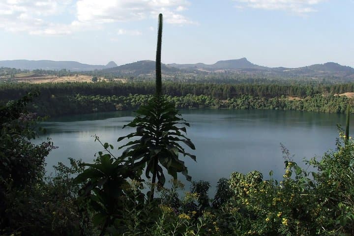 Full-Day Lake Wonchi Crater Trip from Addis Ababa — Hot Springs, Waterfalls & Island Monastery photo 4