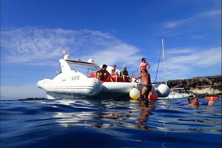 3-Hour Luxury RIB Whale and Dolphin Cruise from Tenerife (Lunch & Snorkel) photo 2