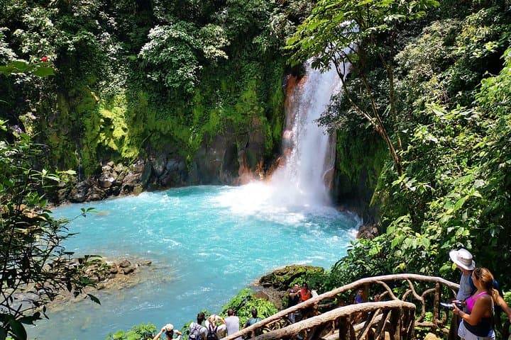 Private Rio Celeste Waterfall & Sloth Sanctuary Tour — Tenorio National Park