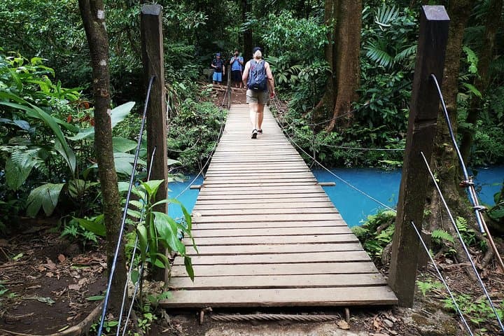 Private Rio Celeste Waterfall & Sloth Sanctuary Tour — Tenorio National Park photo 4