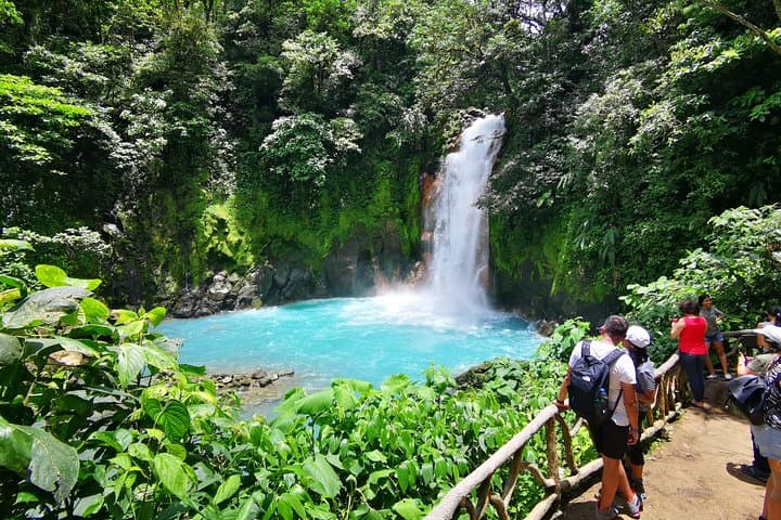 Private Rio Celeste Waterfall & Sloth Sanctuary Tour — Tenorio National Park photo 3