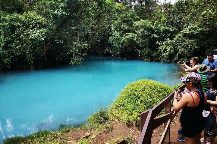 Private Rio Celeste Waterfall & Sloth Sanctuary Tour — Tenorio National Park photo 6
