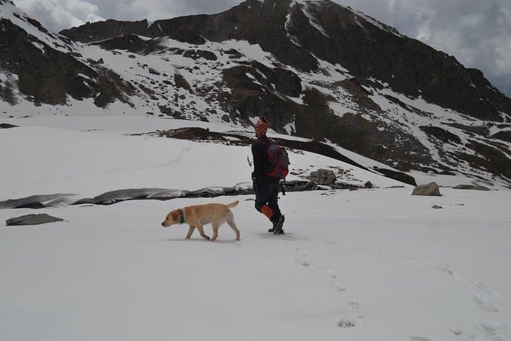 Trek to the Mountain of the Broken Lake — 6-Day Pir Panjal Expedition from Manali photo 3