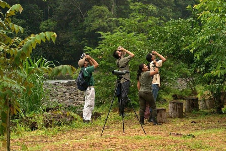 Arenal Volcano Bird Watching Experience: La Fortuna Guided Birding Tour photo 3