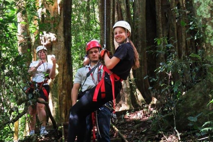 Monteverde Canopy Tour: Zipline, Rappel & Hollow-Tree Ladder Adventure photo 5