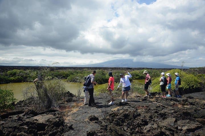 5-Day Galapagos Multisport Adventure: Bike, Kayak, Hike & Snorkel photo 4