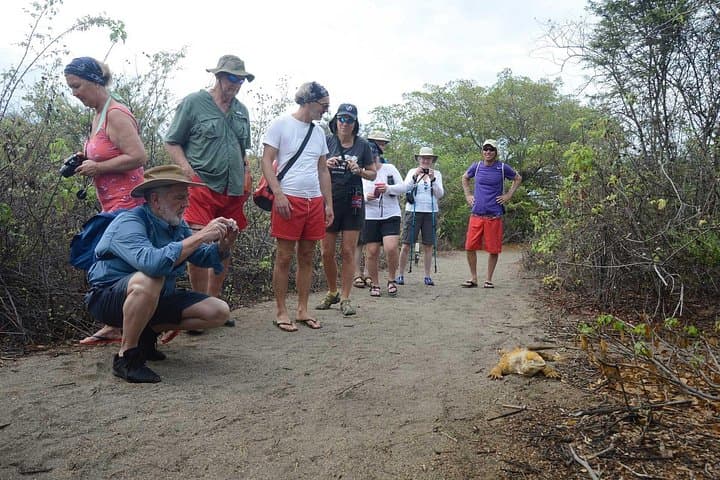 6-Day Galapagos Multi-Sport Adventure: Bike, Kayak, Hike & Snorkel photo 4