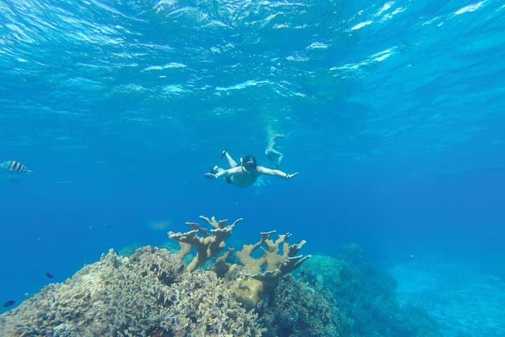 El Cielo Private Snorkel Excursion — Starfish, Sandbanks & Palancar Reef photo 4