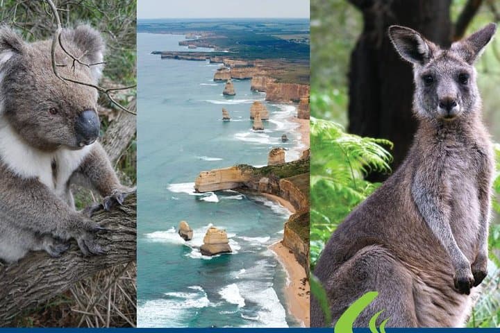 Great Ocean Road: Ultimate 2-Day Coastal Tour from Melbourne photo 5