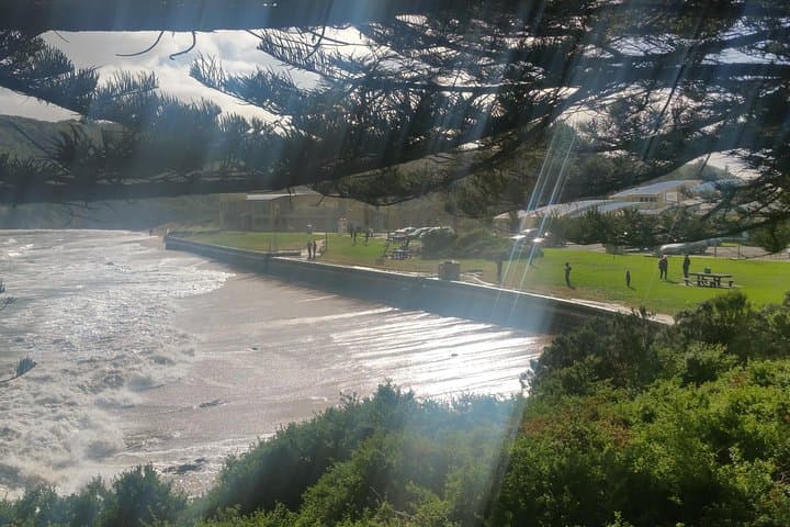 12 Apostles & Otway Fly Zipline Day Trip from Melbourne: Great Ocean Road Adventure photo 4
