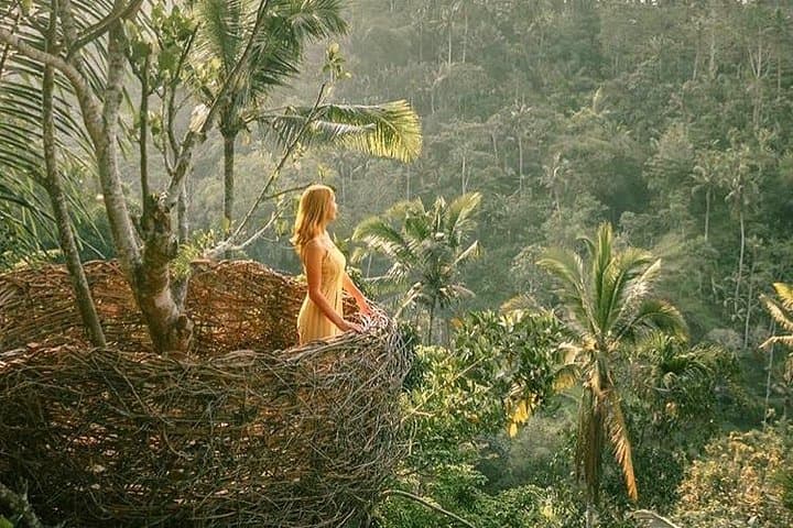 Ubud Jungle Swing, Monkey Forest & Rice Terraces — Full-Day Private Tour photo 3