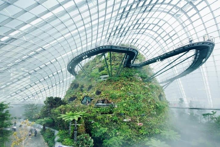 Gardens by the Bay: A Practical Guide to Singapore’s Iconic Conservatories photo 5