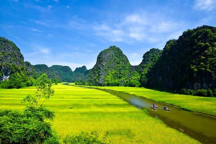 Ninh Binh & Cuc Phuong 2-Day: Tam Coc Boat, Mua Cave & Cuc Phuong Trek photo 5