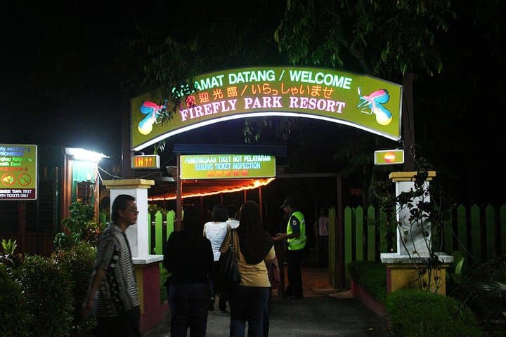 Kuala Selangor Firefly Boat Tour: Evening Wildlife Cruise with Seafood Dinner photo 6