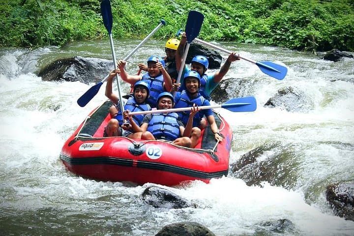 Ayung River Rafting: 12km Class II–III Adventure from Ubud