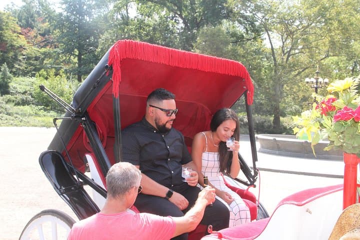 Romantic Proposal Carriage Tour in Central Park — Private Horse-Drawn Ride & Photographer photo 2