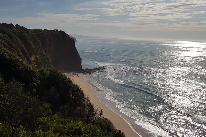 Great Ocean Road Full-Day Tour from Melbourne: 12 Apostles, Rainforest & Coastal Lookouts photo 4