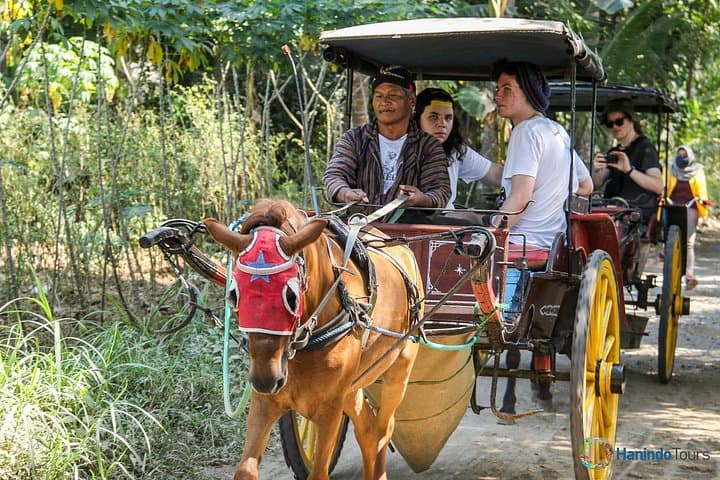 Candirejo Village Tour: Experience Traditional Javanese Life Near Borobudur