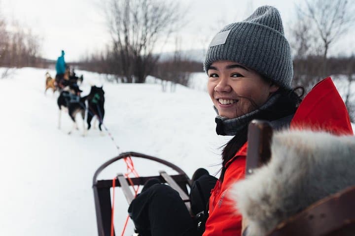 Alta Dog Sled Tour & Husky Cuddles: Arctic Dogsledding on the Finnmark Plateau photo 3