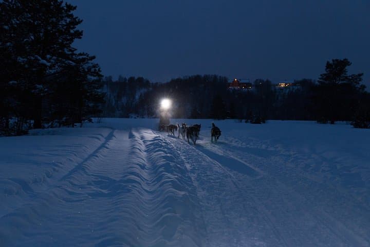 Alta Dog Sled Tour & Husky Cuddles: Arctic Dogsledding on the Finnmark Plateau photo 4