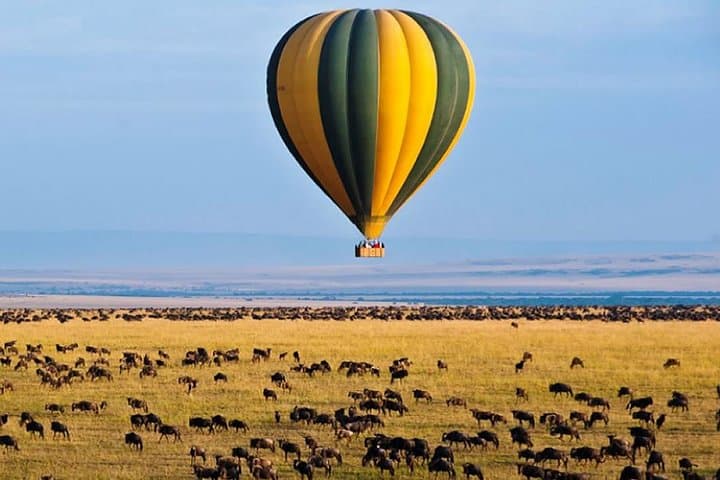12-Day Kenya & Tanzania Safari: Masai Mara, Serengeti, Ngorongoro Crater photo 5