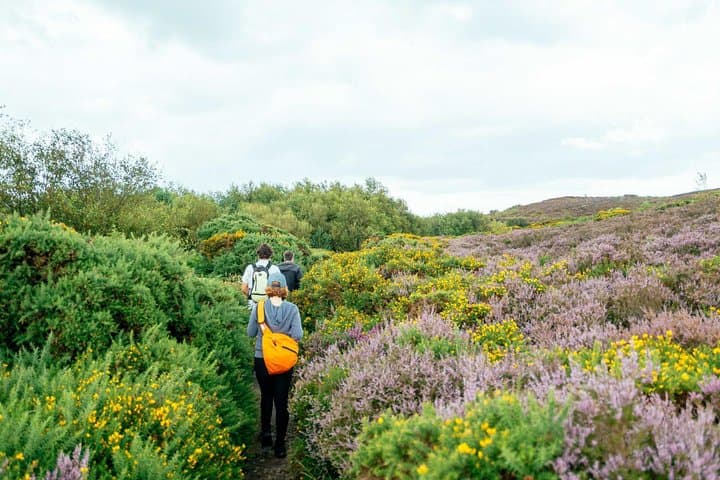 Howth Private Day Trip from Dublin — Castle, Cliffs & Harbor Walk photo 4