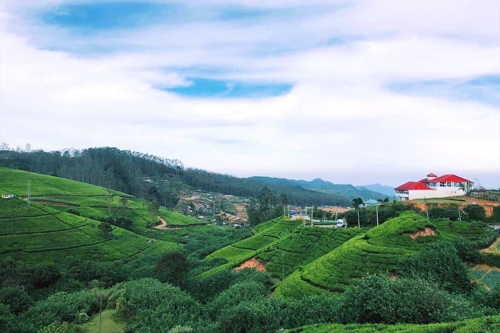 3-Day Sri Lanka Hill Country Escape: Tea Trails, Waterfalls & Mountain Views photo 3