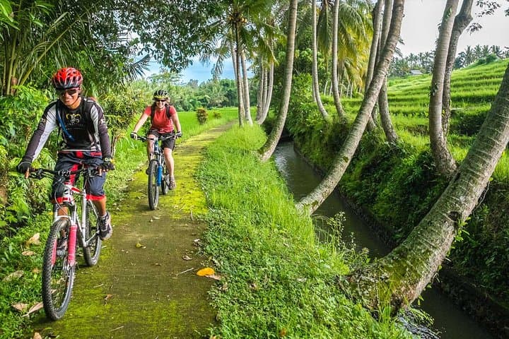 Cycling the Rice Fields of Ubud & Tegenungan Waterfall — Day Trip from Ubud photo 4