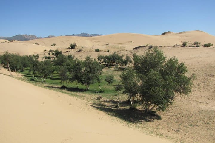 Best of Central Mongolia: 5-Day Cultural and Nature Tour from Ulaanbaatar photo 2